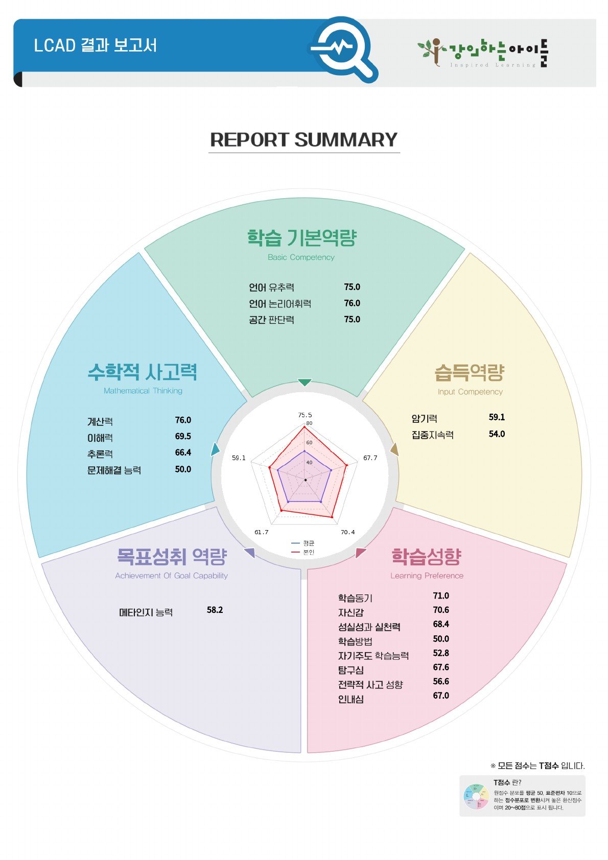 LCAD 진단 보고서 리포트 요약 예시 — 5개 영역 · 18개 세부 역량 점수